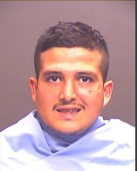 Mug shots 2017